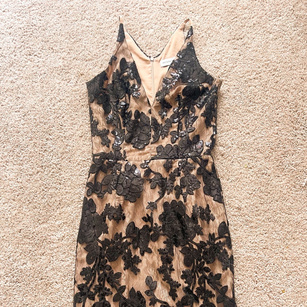 Tan and Black Dress The Populate Dress